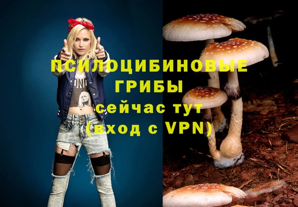mdma Заволжск