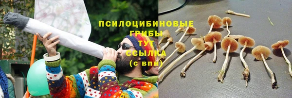 крисы Заводоуковск