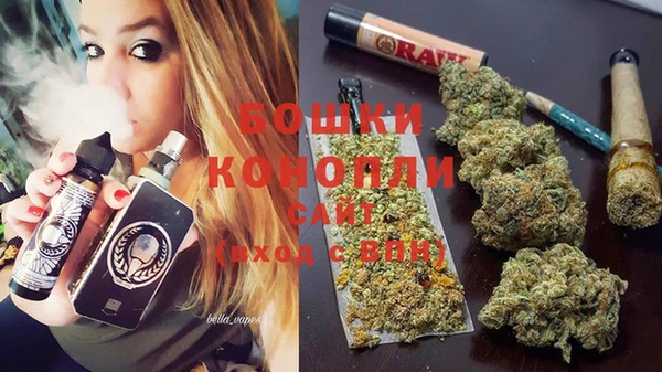 крисы Заводоуковск